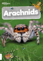 Picture of Arachnids