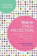 Picture of Risk in Child Protection: Assessment Challenges and Frameworks for Practice