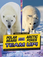 Picture of Polar Bears and Arctic Foxes Team Up!